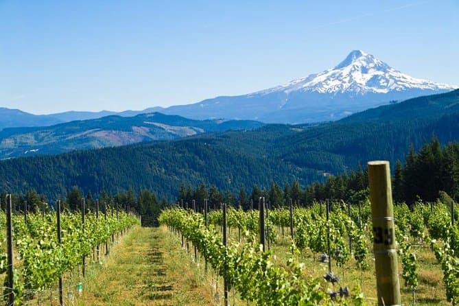 Mount Hood Loop Scenic Drive: Portland to Peaks