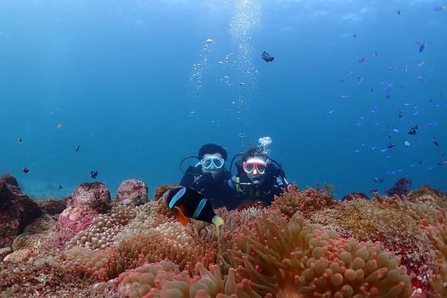 Scuba Diving (Fun Diving)