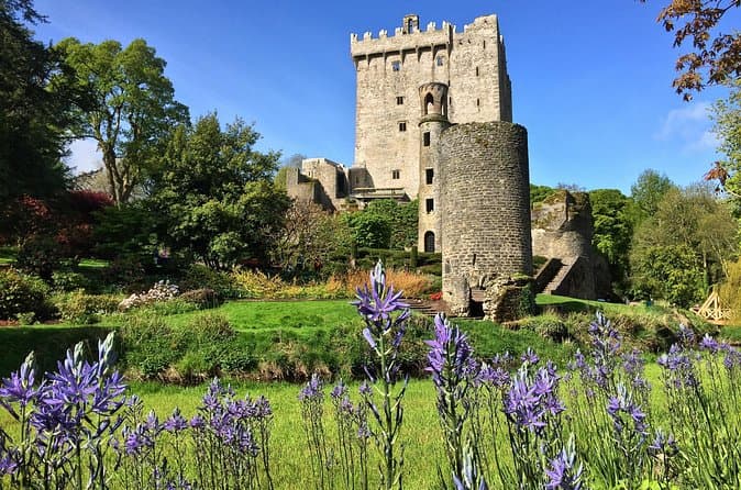 Best-Rated Blarney Castle Experiences