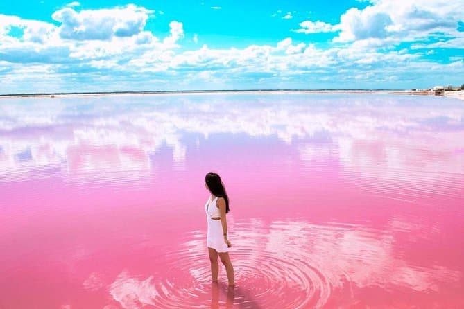 Best Las Coloradas & Rio Lagartos Day Trip from Tulum