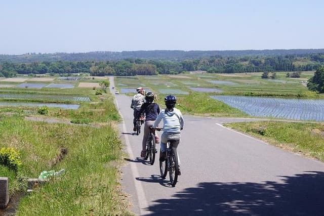 Downhill Biking include lunch experience