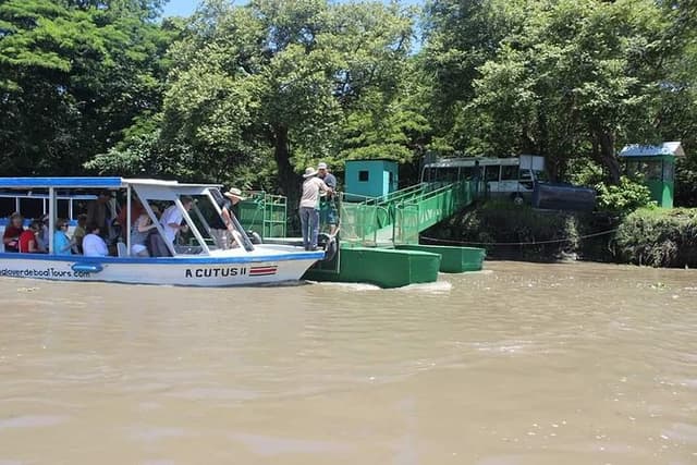 Wildlife Safari Tour