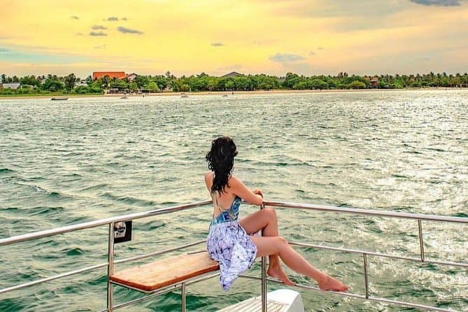 Colombo to Mirissa: Whale & Dolphin Watching