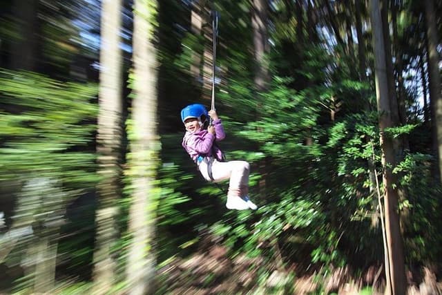 Aerial athletics (Zipline adventure)