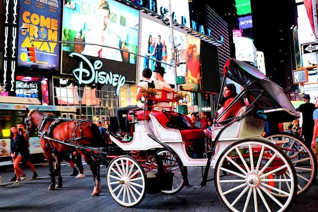 Central Park & Rockefeller Tour (4 Adults)