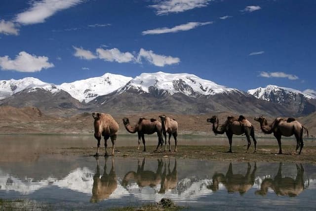 Pamir Highway in 5 days from Dushanbe to Osh