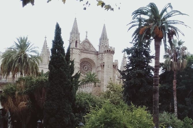 Explore Palmaâs Best: Mallorca Island Tour Highlights