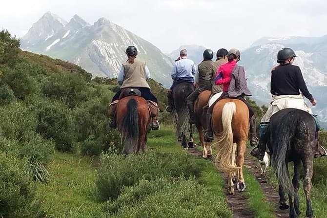 Best Equestrian Tours in Madrid Nature