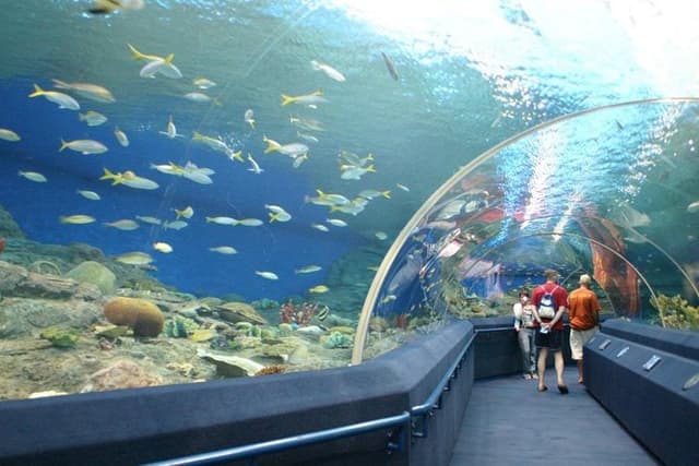 Underwater World Pattaya Skip-the-Line Ticket