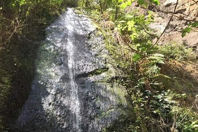 Tour and nature reserves