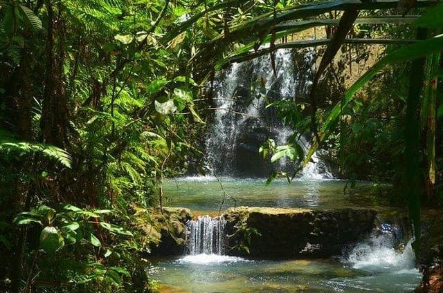 Port of Suva - Private Tour