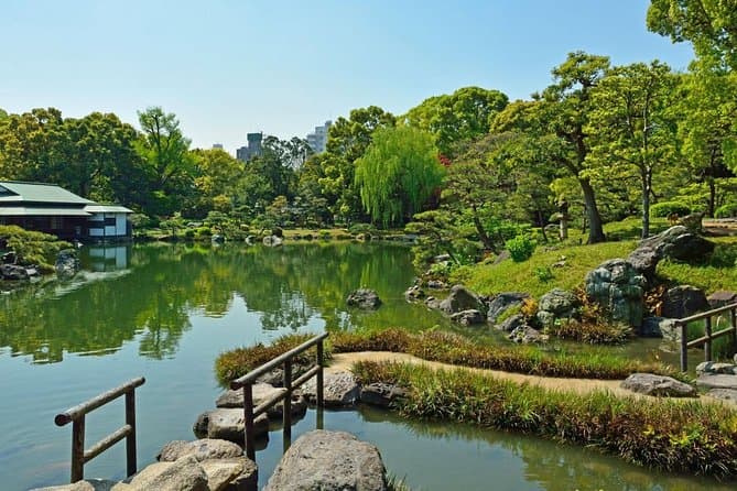 Best Tokyo Sakura Tours: Experience Spring in Japan