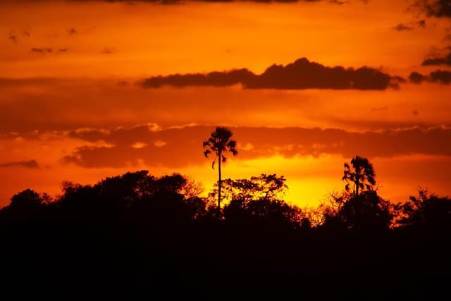 16 Days Botswana's Finest Safari Experience