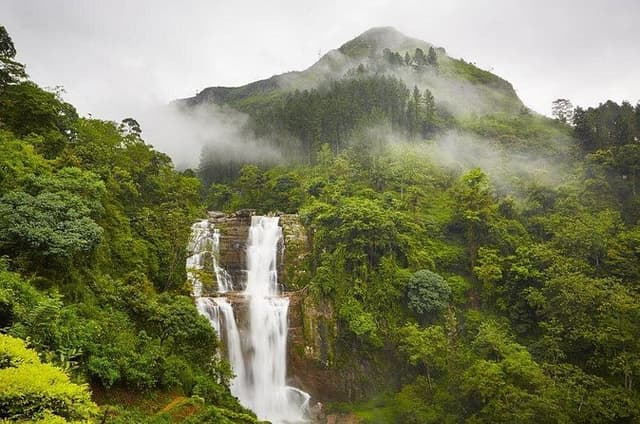 Nuwera Eliya Tuk-Tuk Trails