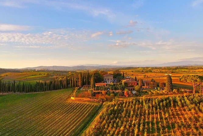 Exquisite Wine Tasting Experiences in Arezzo, Italy