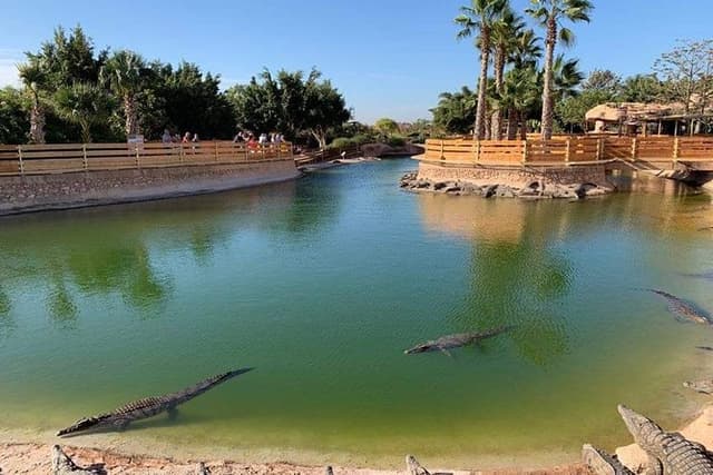 Visite Crocoparc from Agadir with pick-up every hour.