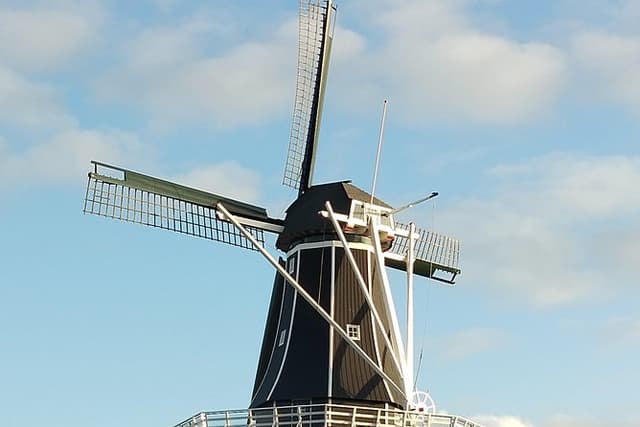 Haarlem Walking Tour. Unknown and Surprising