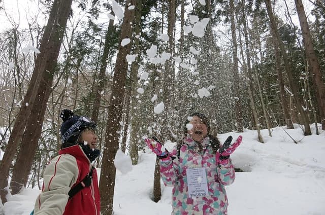 【5 minutes from Water IC】 Snow Trekking Half-day Tour to Enjoy Japanese Snowscapes