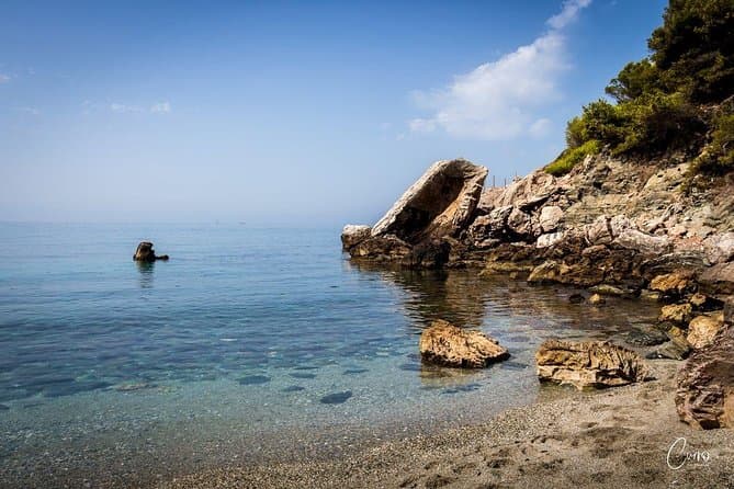 Best Birdwatching Adventures in Malaga, Costa del Sol
