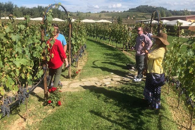 Tuscany Brunello wine tour (12hrs) Montalcino, Montepulciano