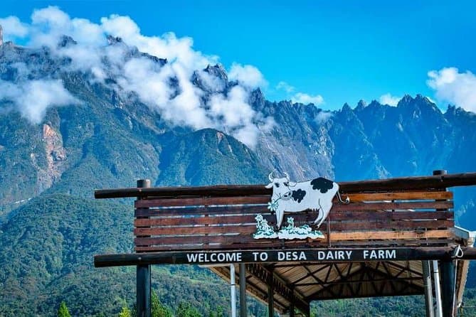 Best Kinabalu Park Tours & Nature Adventures in Kota Kinabalu