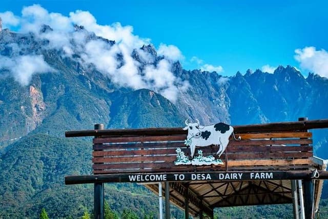 Kinabalu Park With Rumah Terbalik & Desa Cow Farm