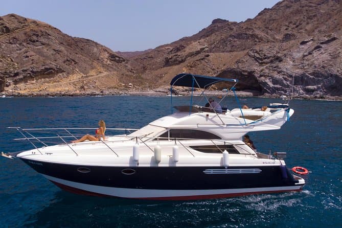 Gran Canaria Dolphin Watching