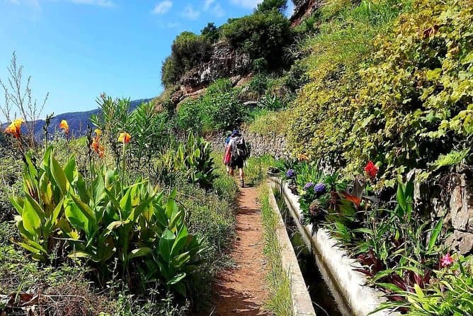 Best Serra de Agua Walk Tours in Funchal