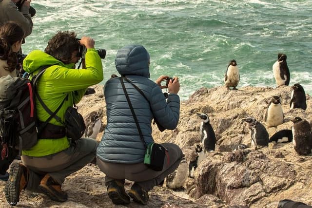 Full day excursion to Pedral, Guided visit to the Penguin Colony and countryside day with lunch