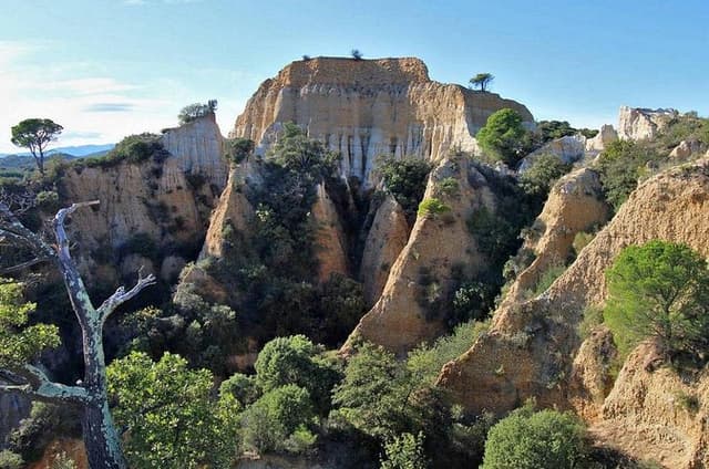 From Organs to Maquis Geology Sound Workshop Botanical Escapade