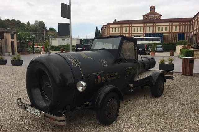 Wine tour - Penedes wine region - (2 wineries included)