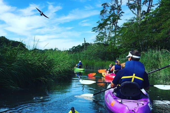 Best Cape Cod Boat Tour Options