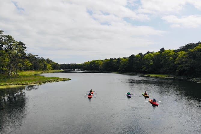 Unforgettable Cape Cod National Seashore Coastal Adventures