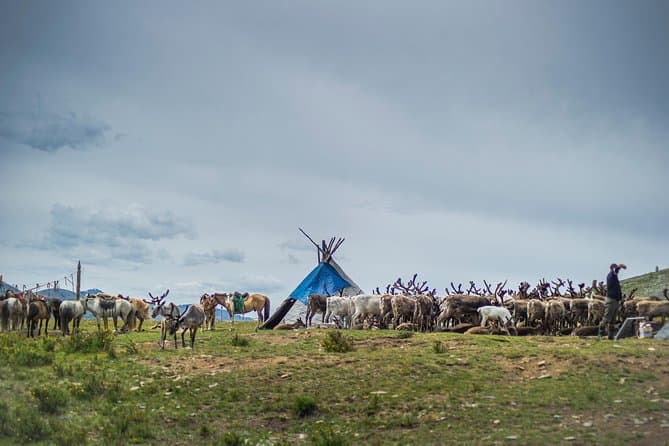 Mongolia Horse Trekking Adventure