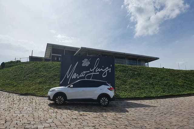 Private transfer to airports, tours and events. Driver(Driver/Guide).