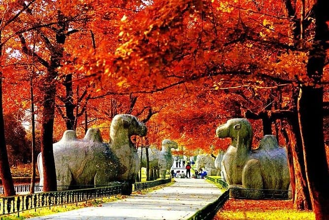 Ultimate Nanjing Purple Mountain Tour & Scenic Adventures