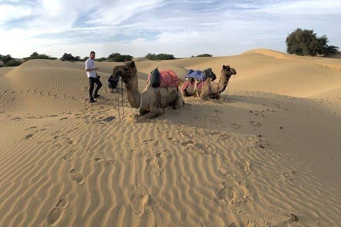Best Jaisalmer Day Trips from Jodhpur