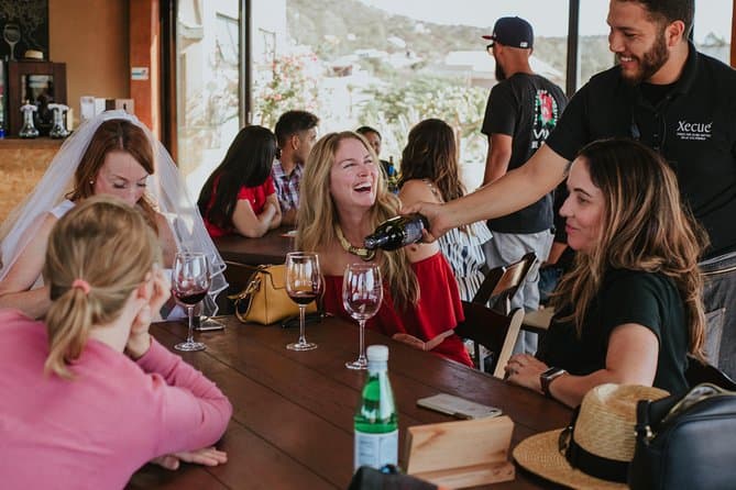 Top Rated Valle de Guadalupe Wine Tours in Ensenada