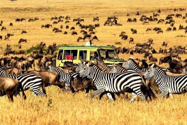 11 Days: Tanzania &Rwanda Safaris (great migration and air balloon)