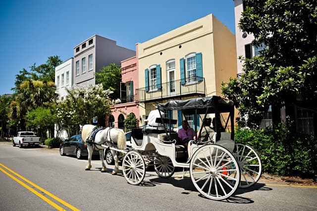 Private Daytime Horse-Drawn Carriage Tour of Charleston
