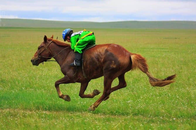Experience Naadam Festival & Mongolian Culture