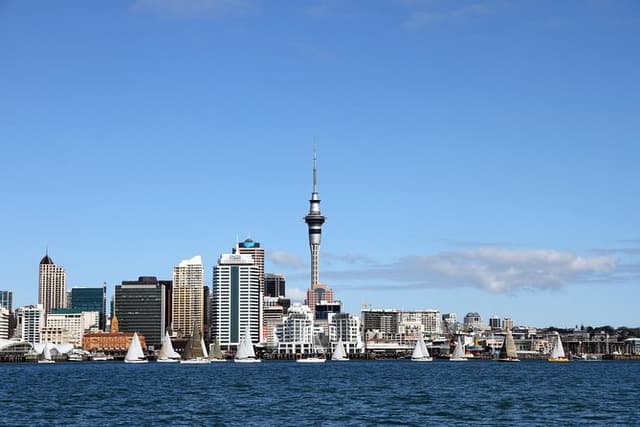 Private Auckland City Tour For Small Group in a luxury vehicle.