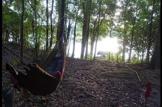 Amazon jungle expedition 4/ Days 3/ Nights 360 usd