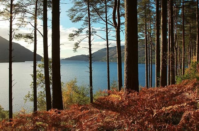 Loch Lomond & Whisky Tour from Glasgow Including Admissions