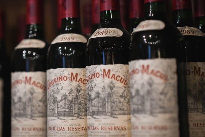 Unforgettable Cousiño Macul Wine Tasting in Santiago