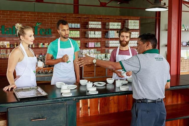 Halpewatte Tea Factory Tour in Ella Sri Lanka