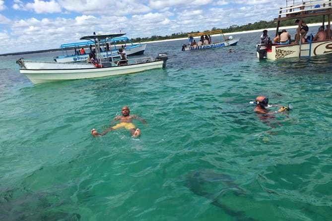 Best Malindi Blue Tour: Coastal Adventures & Marine Life