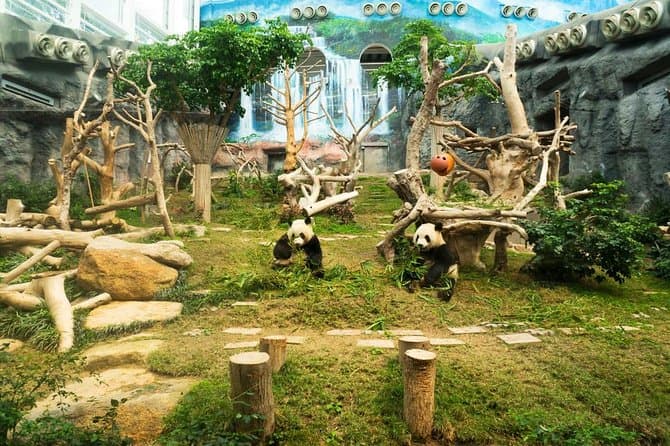 Luxury Private Tours in Macau SAR: Bespoke Local Experiences