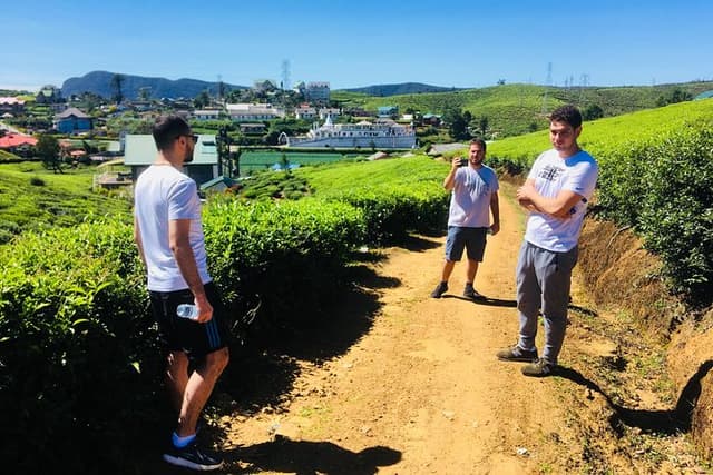 Explore Nuwara Eliya - Waterfall & Tea Factory Tour