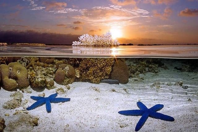 Bunaken 3 - Point Snorkeling – Private Tour with Lunch